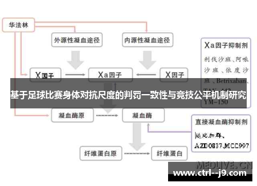 基于足球比赛身体对抗尺度的判罚一致性与竞技公平机制研究
