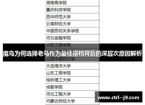 魔鸟为何选择老马作为最佳搭档背后的深层次原因解析