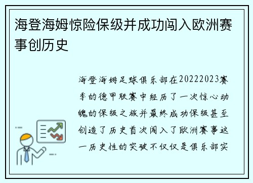 海登海姆惊险保级并成功闯入欧洲赛事创历史